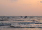 Arabian Sea by Epicure.  Tags: Maharashtra, Alibaug, sea.