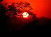 kaziranga - sunset