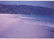 Radhanagar Beach in Havlock Island by asishdas.  Tags: Havelock Island, radhanagar beach, beach.