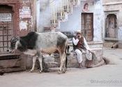 Phalodi: streetscape by janink.  Tags: Phalodi, Rajasthan.