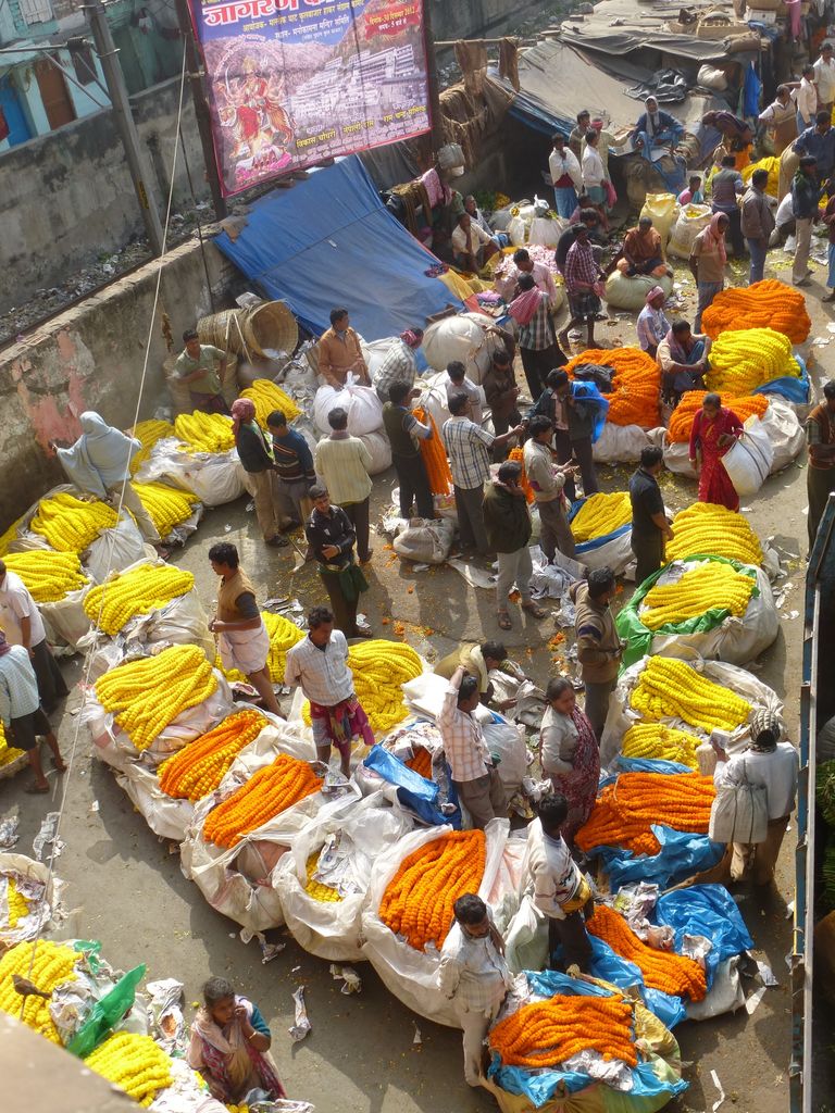 Best flower market Kolkata India Travel Forum