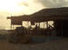 Morning Star - Arambol (Goa)