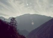 On the road by zambie.  Tags: Uttarakhand, Nainital.