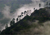 Monsoon Morning by nawrockiworldwide.  Tags: Uttar Pradesh, Rampur, morning, Monsoons.