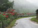 From Marayoor ro Munnar