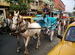 Kolkata, traffic