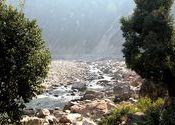 Photograph on the way from Bhowali to Almora: by aindril.  Tags: Almora, Uttarakhand, bhowali.