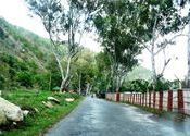 Fikar Not 14 Area by saurabh_rnc.  Tags: Arunachal Pradesh, tenga.