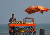 Pondy Pineapple Man by Lou Wilson.  Tags: Puducherry, Shops and Businesses, Food in India, food.