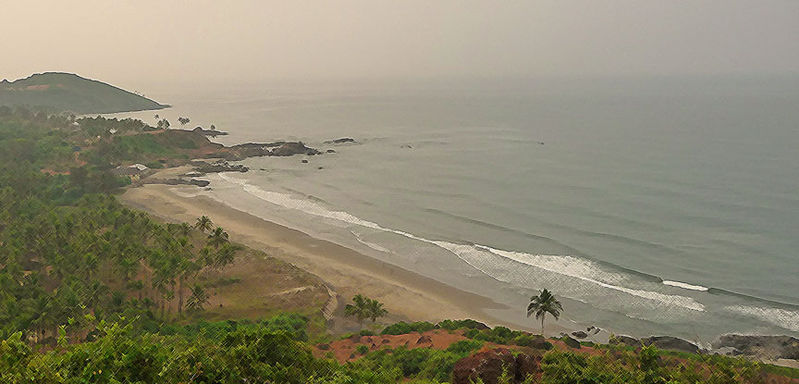 From the Fort From the Fort