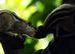 soura brata roy's photos