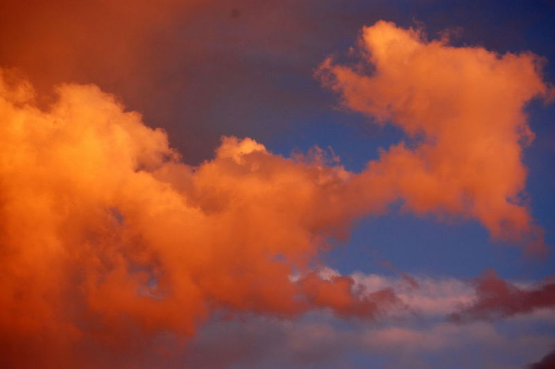 on cloud white and orange