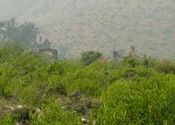 Bhangarh ruins by dillichaat
