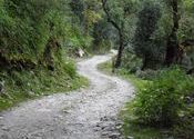 Way to Wan by NEERAJ JAT JI.  Tags: Uttarakhand, Roopkund.
