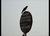 Ominous Sign at Miramar Beach by arijitchaki.  Tags: Miramar, Goa, sign, beach.