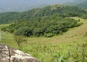 view of below forests by haRd raZer.  Tags: Kasaragod, Kerala, Forests.