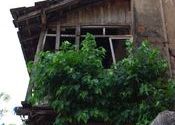 Old building, Panjim by unclelach.  Tags: Panjim, Goa.