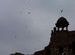 Purana Qila at dusk