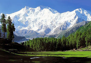 Fairy Meadows Fairy Meadows