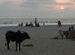 Sunset in Arambol (Goa)