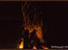 Camp Fire in Dil Maya Retreat