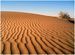 The Dunes