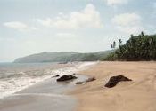 Goa by ananda2193.  Tags: Goa, Landscapes, Agonda Beach.