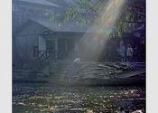 Srinagar Waterway , 1970 by Wanderer22.  Tags: Srinagar, Jammu and Kashmir.