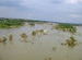 Tungabhadra River