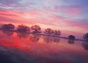sunrise by Shivaram1970.  Tags: Rajasthan, Bharatpur, Sunrises.