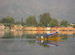 Jammu & Kashmir
