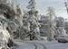 Snow bounded roads