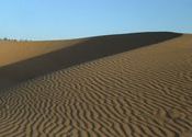 Sand Dunes and its ripples by Soura Brata Roy.  Tags: Jaisalmer, Rajasthan, Landscapes, ripples, sand dunes.
