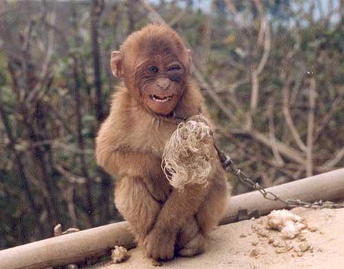 My smiley friend from Sikkim! My smiley friend from Sikkim!