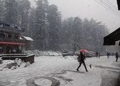snow stOrM by Figment.  Tags: Himachal Pradesh, Manali.