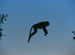 ranthambhore_in's photos