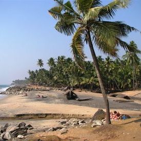 Varkala beach: Varkala beach
