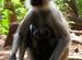 dhrubatara's photos
