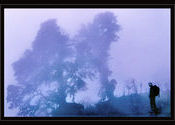 ..... Lost in Paradise ............. by Bhaswaran.  Tags: meghma, on way to sandakfu.