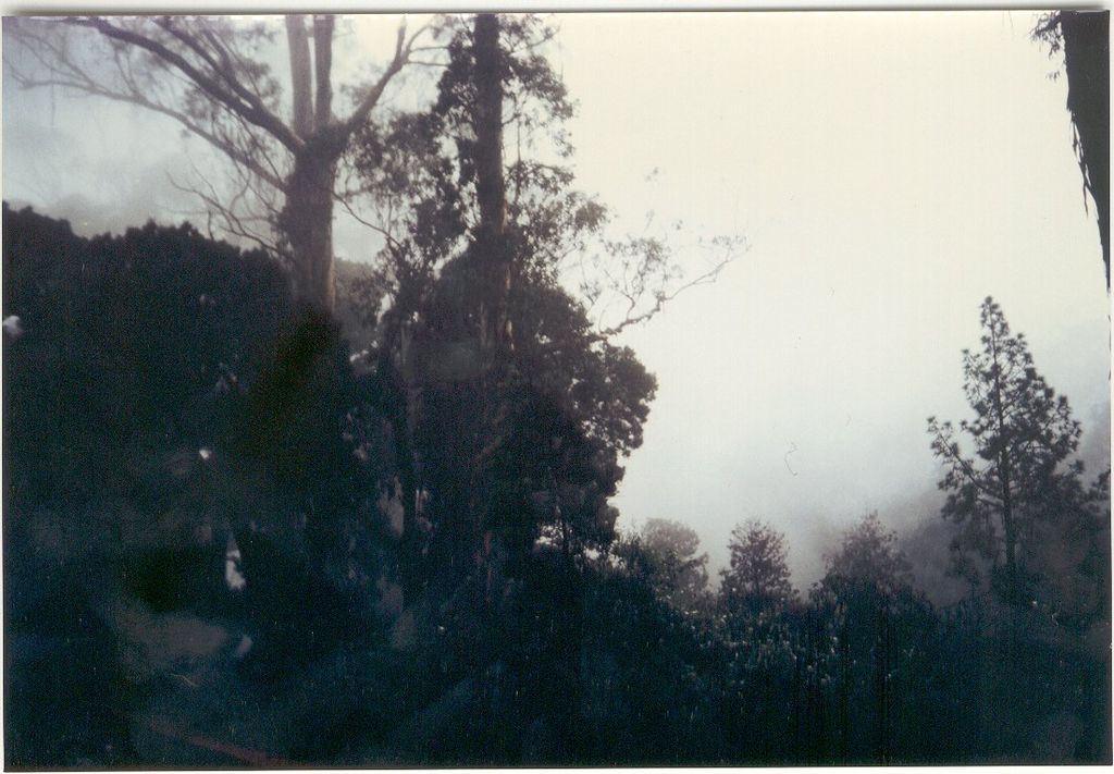 Kodai in mid-Dec.