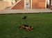 let sleeping dogs lie, they say