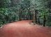 Matheran In November