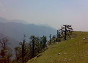 Triund by ashukkb.  Tags: Landscapes, triund.