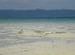 Havelock