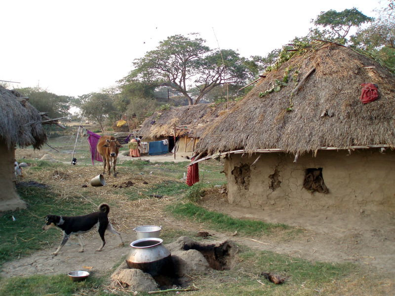 Village live India Travel Forum