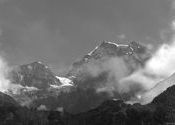 A B&W look by Shivaram1970.  Tags: Valley of Flowers National Park.
