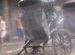 Rickshaw in the Rain