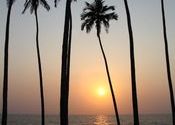 Sunset in Goa by JFlybring.  Tags: Goa, Anjuna, Sunsets.