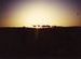 Leaving Pushkar