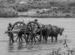 Bullock wash